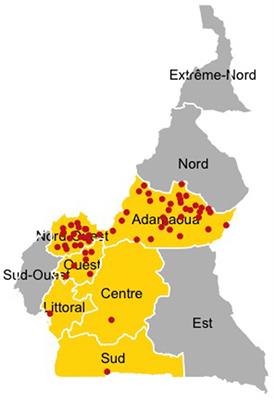 Characterizing Livestock Markets, Primary Diseases, and Key Management Practices Along the Livestock Supply Chain in Cameroon